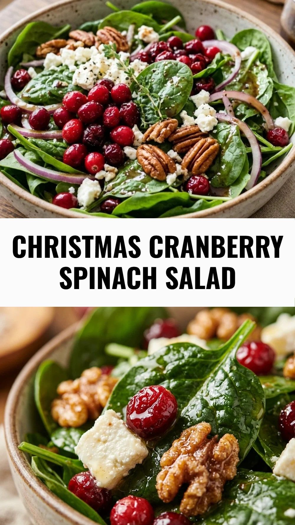 Christmas Cranberry Spinach Salad