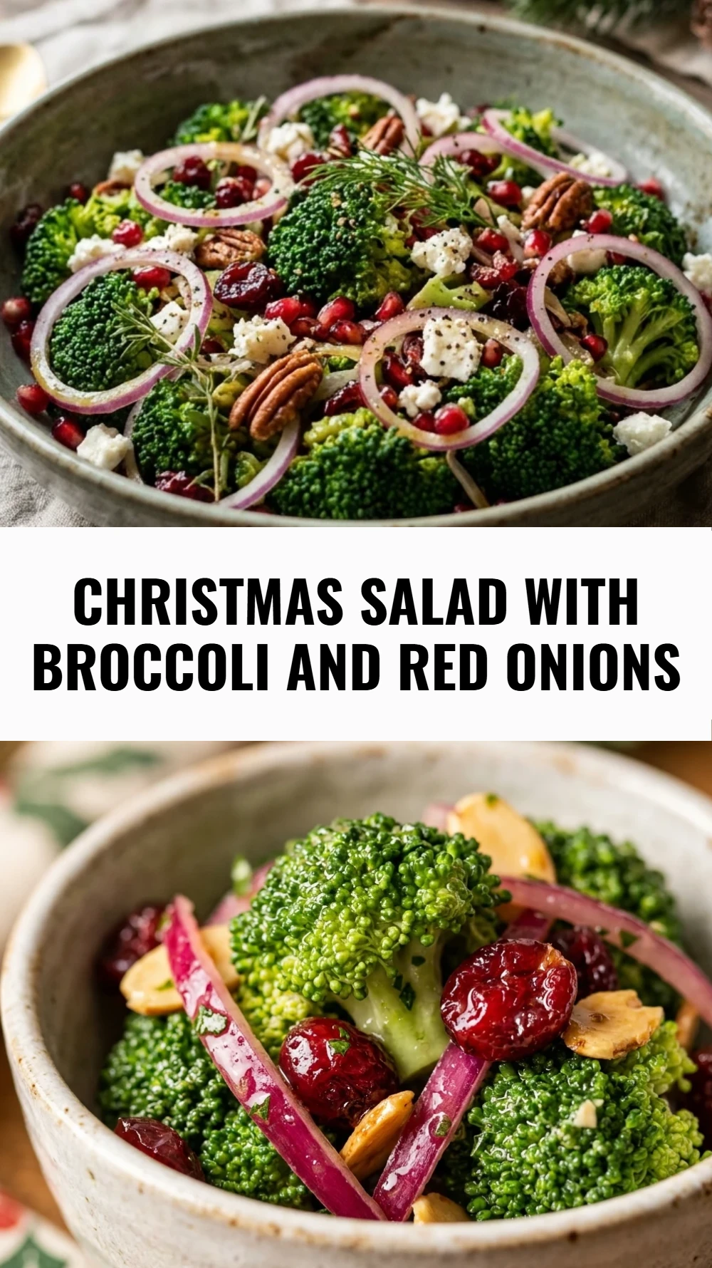 Christmas Salad with Broccoli and Red Onions
