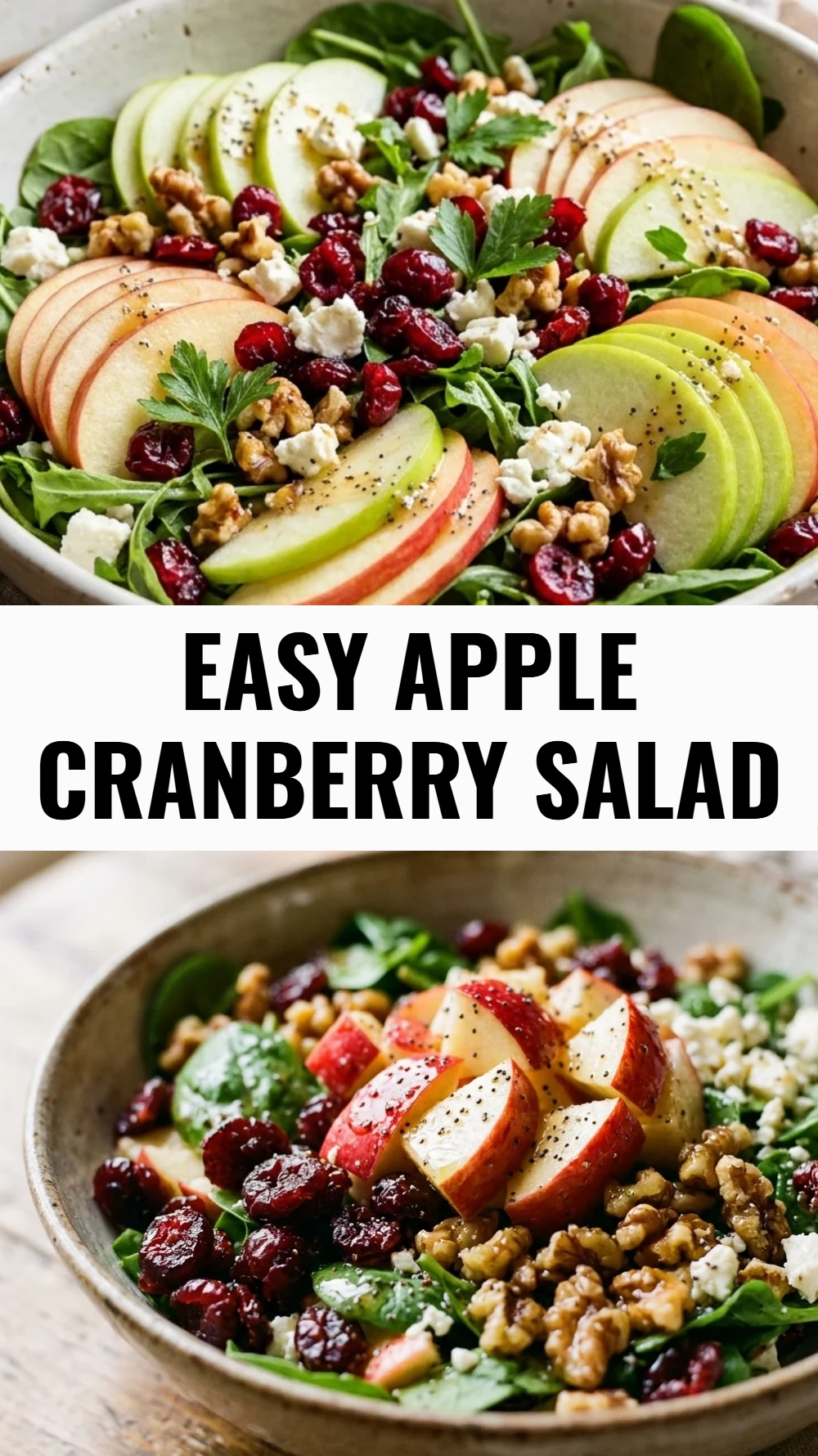 Easy Apple Cranberry Salad