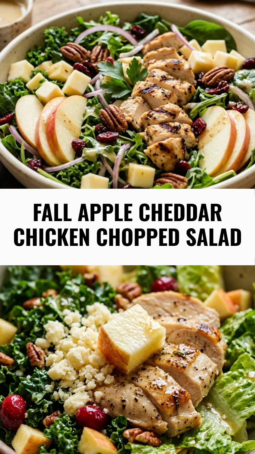 Fall Apple Cheddar Chicken Chopped Salad