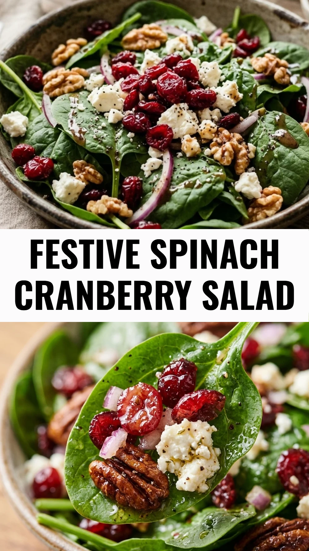 Festive Spinach Cranberry Salad