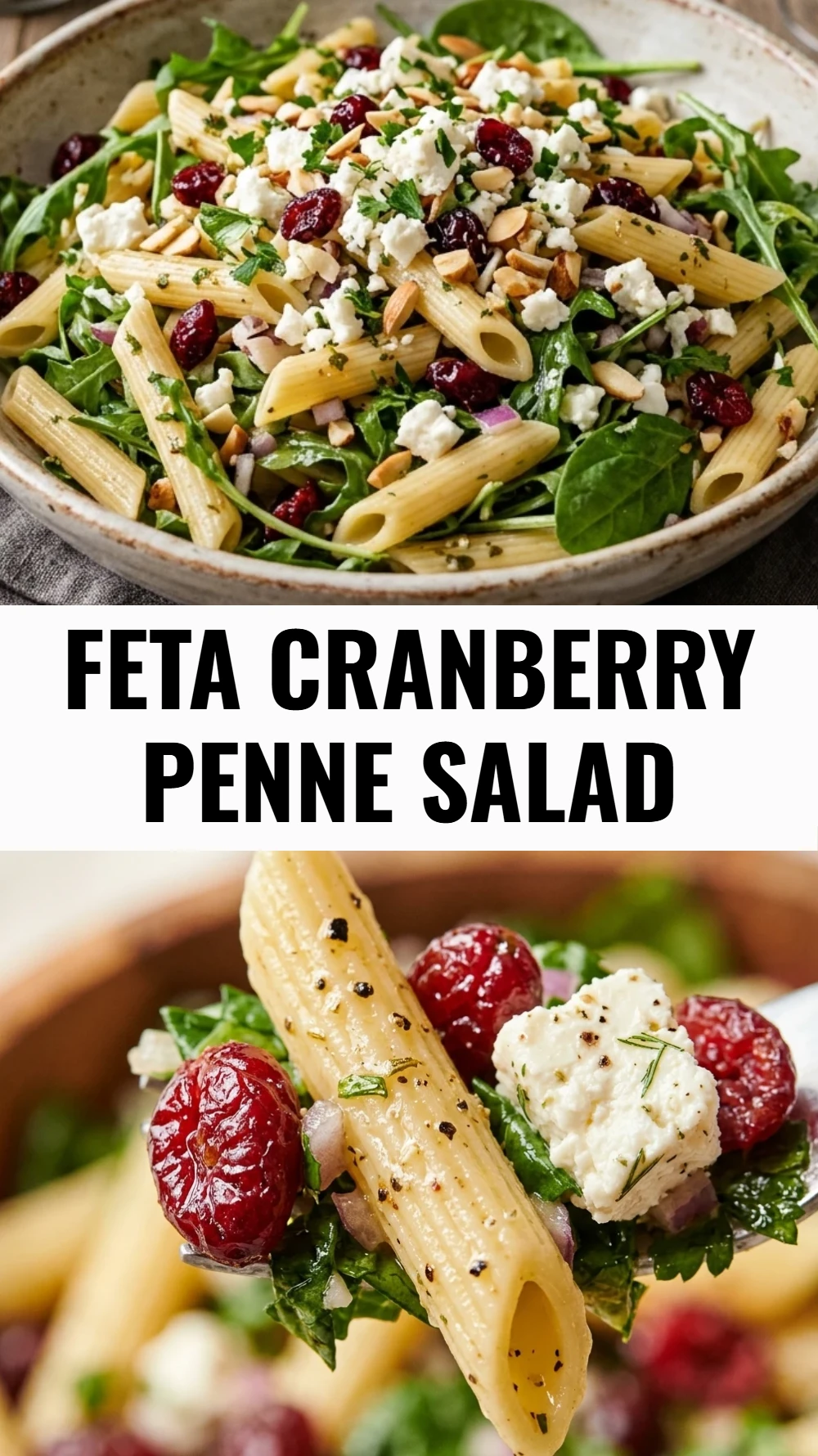 Feta Cranberry Penne Salad