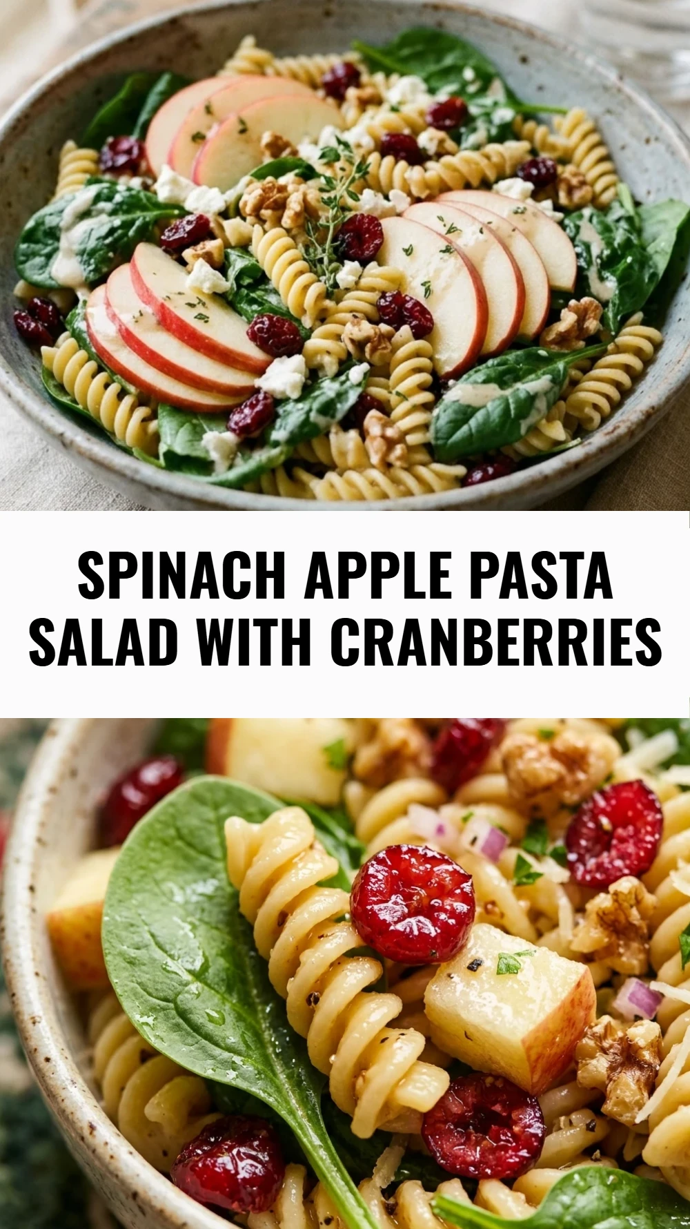 Spinach Apple Pasta Salad with Cranberries